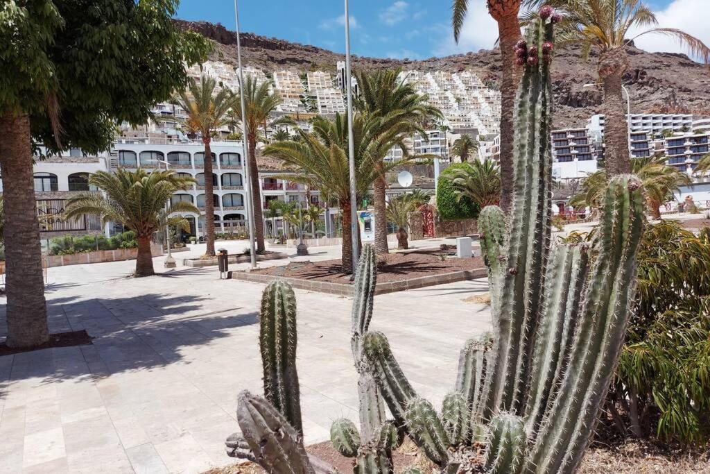 Ertel Suite Monte Golf-Vista Mar Playa Del Cura  Eksteriør billede
